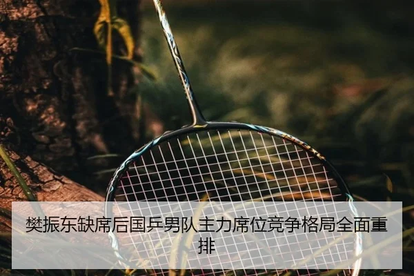樊振东缺席后国乒男队主力席位竞争格局全面重排